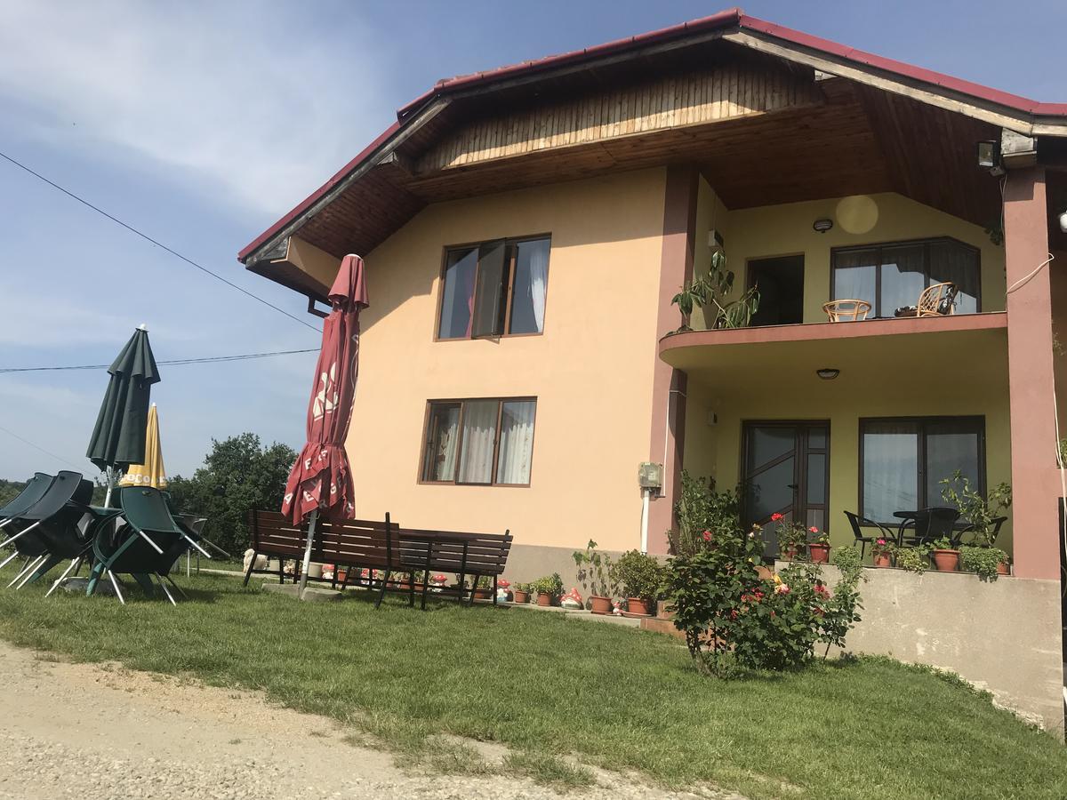 Casa De Vacanta Madalina Novaci-Straini Exterior photo