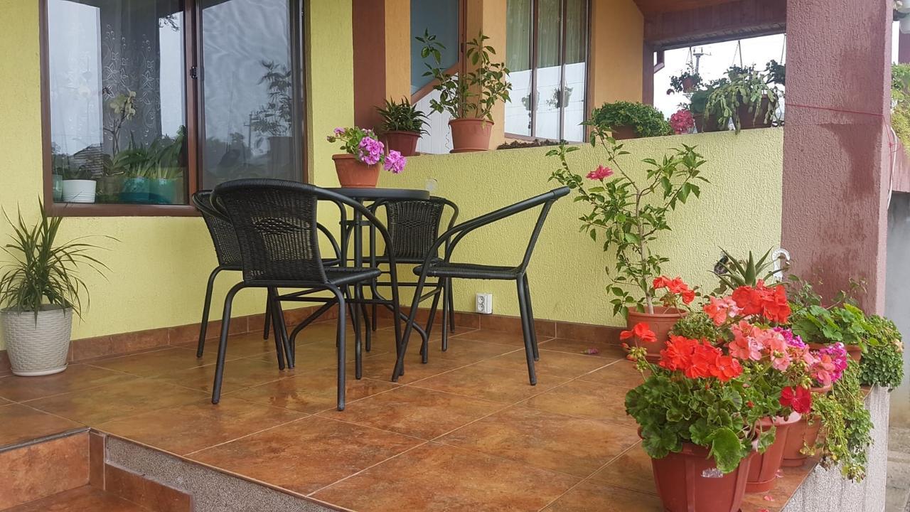 Casa De Vacanta Madalina Novaci-Straini Exterior photo